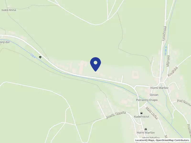 Dětský domov se školou, základní škola a školní jídelna, Horní Maršov, Temný Důl 16, 16, 54226 Horní Maršov - Temný Důl, IČO 60153628