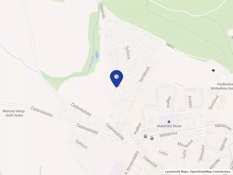 Domov a Centrum aktivity, příspěvková organizace, Liberecká 451, 46342 Hodkovice nad Mohelkou - Hodkovice nad Mohelkou, IČO 71220097