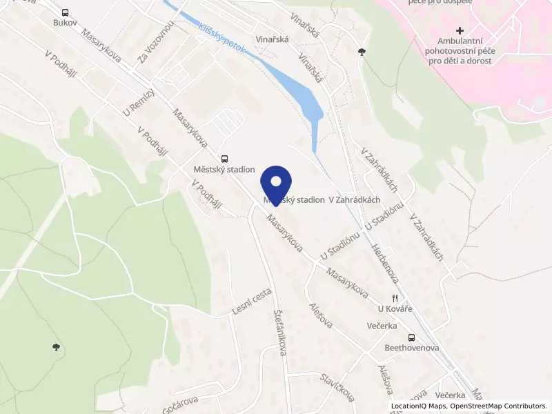 FK VIAGEM Ústí nad Labem a.s., Masarykova 1091/228a, 40001 Ústí nad Labem - Klíše, IČO 27274055