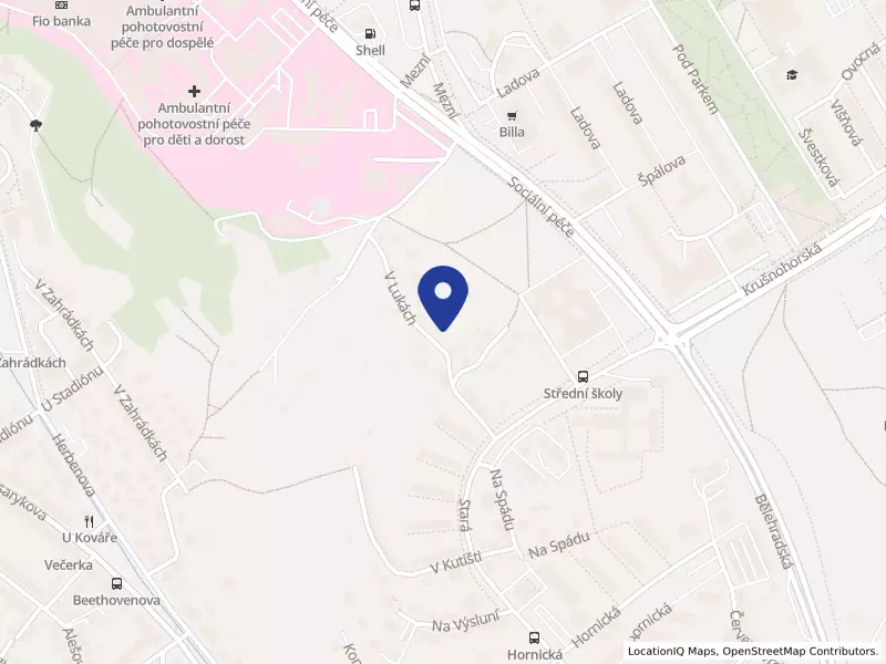 REHABILITACE KLUBÍČKO s.r.o., Ústí nad Labem, V Lukách 3522/18, 40011 Ústí nad Labem - Severní Terasa, IČO 05202779