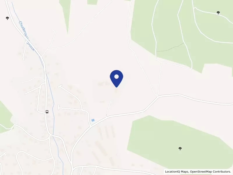 ImunomedicA, a.s., 118, 40002 Chuderov - Chuderov, IČO 25009508