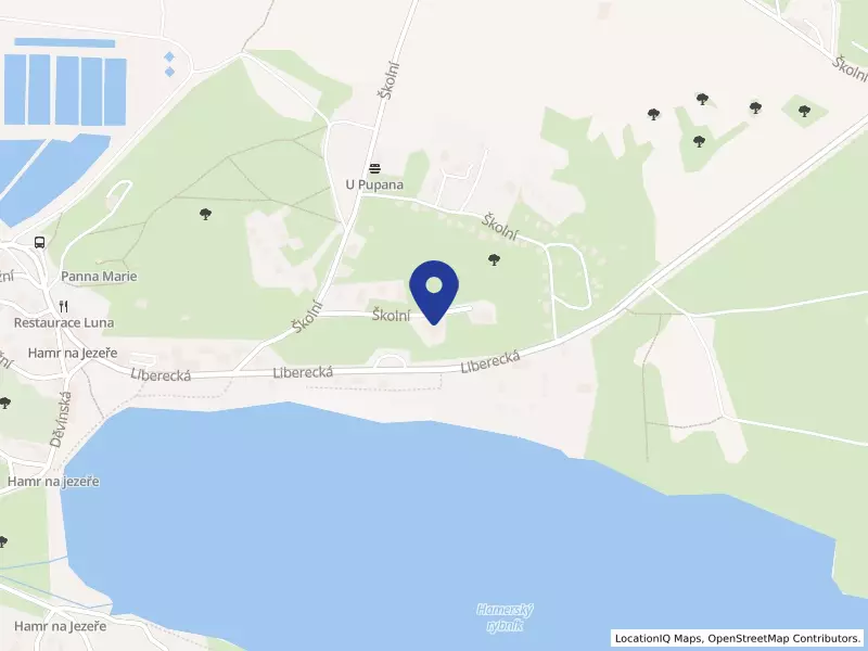 Dětský domov se školou, základní škola a školní jídelna, Hamr na Jezeře, Školní 89, Školní 89, 47128 Hamr na Jezeře - Hamr na Jezeře, IČO 62237047