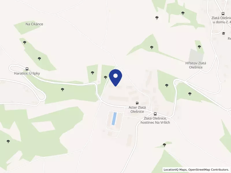 ENERGO Zlatá Olešnice s.r.o., 46847 Zlatá Olešnice - Zlatá Olešnice, IČO 28702239