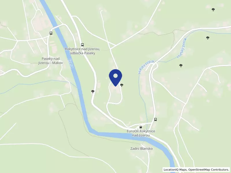Domov důchodců Rokytnice nad Jizerou, příspěvková organizace, 291, 51244 Rokytnice nad Jizerou - Dolní Rokytnice, IČO 00085782