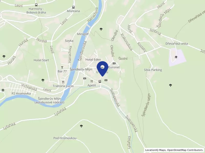 Město Špindlerův Mlýn, 173, 54351 Špindlerův Mlýn - Špindlerův Mlýn, IČO 00278343