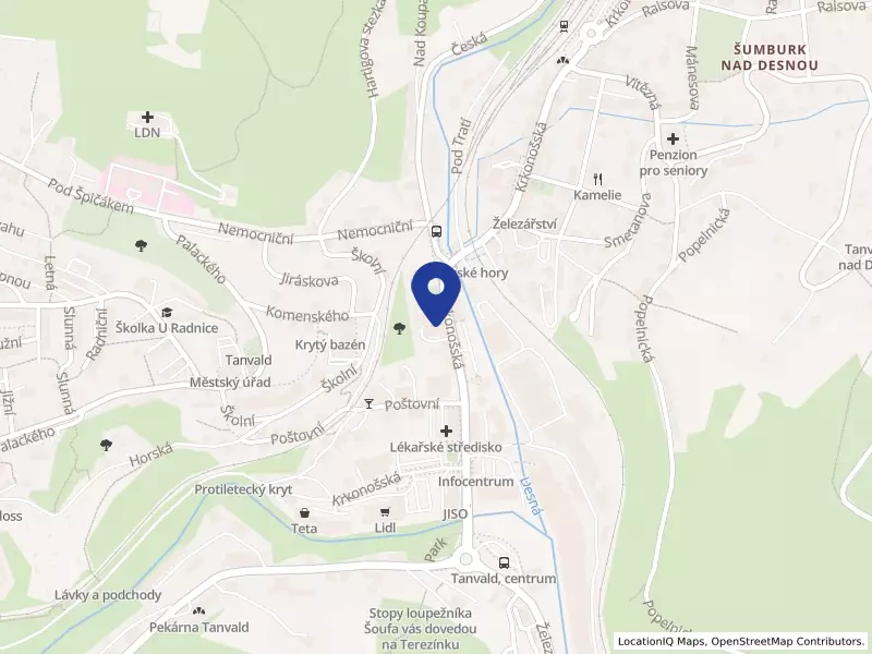 TELEFLEXIS s.r.o., Krkonošská 84, 46841 Tanvald - Tanvald, IČO 03963365