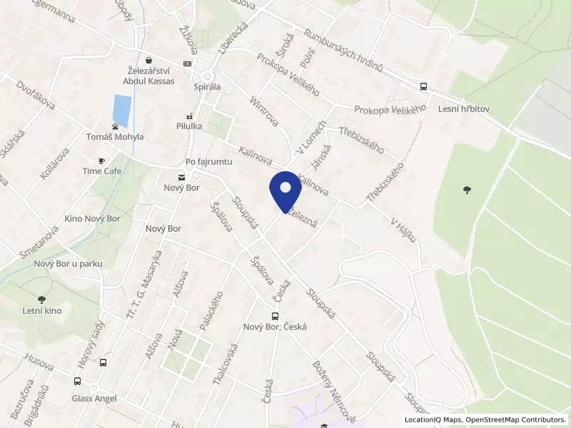 TISKÁRNA - BOR spol. s r.o., Nový Bor, Dělnická čp. 262, IČO 25015681