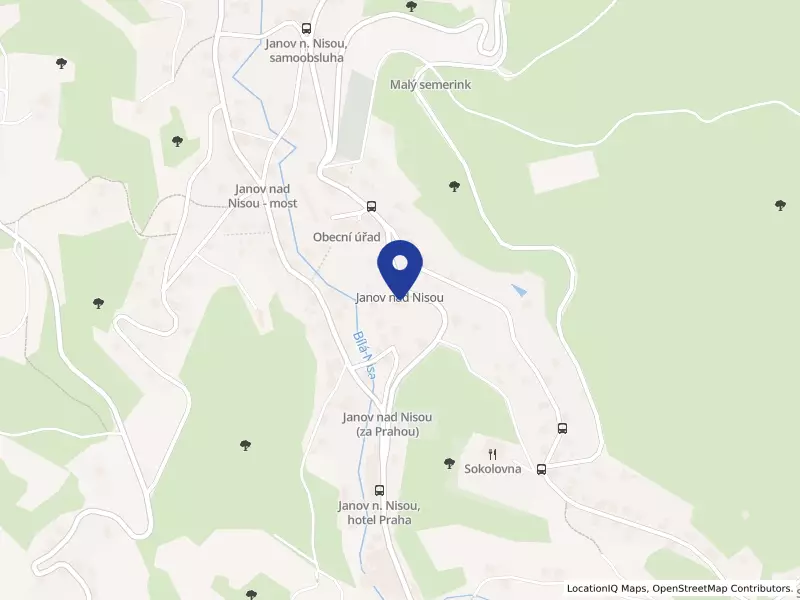 Základní škola a Mateřská škola Janov nad Nisou, příspěvková organizace, 374, 46811 Janov nad Nisou - Janov nad Nisou, IČO 72742658