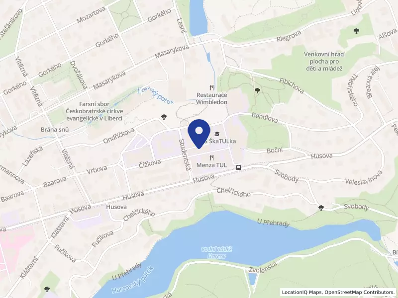 Technická univerzita v Liberci, Studentská 1402/2, 46001 Liberec - Liberec I-Staré Město, IČO 46747885