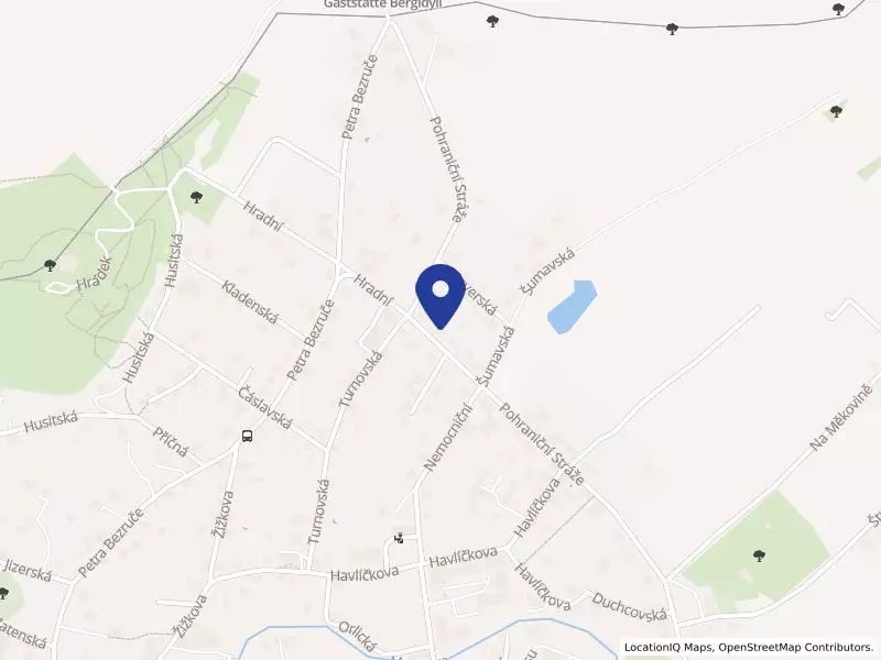 TERMI s.r.o., Pohraniční Stráže 2047, 40747 Varnsdorf - Varnsdorf, IČO 25032640