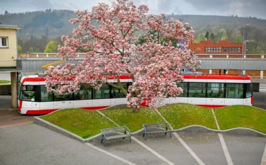 Dopravní podnik města Brna, a.s.