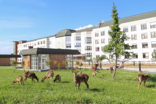 Institut klinické a experimentální medicíny