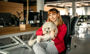 Pet friendly zaměstnání - výhody a nevýhody